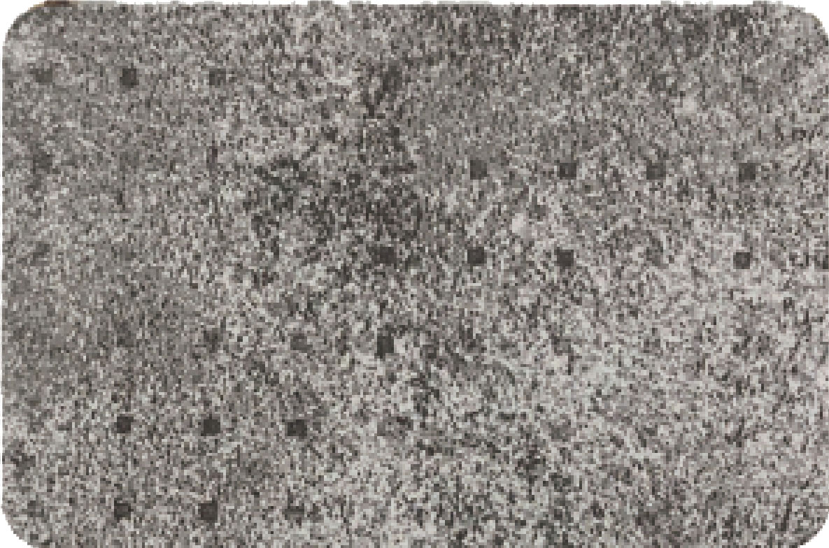 적용사례 사진 5